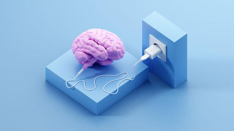 mantenimiento_del_cerebro
