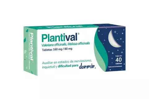 ps-plantival-768x512