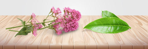 header_comofuncionaplantival.jpg