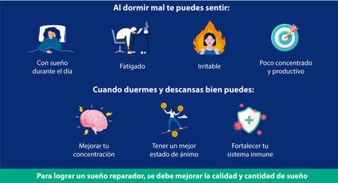 infografia plantival