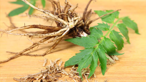 valeriana_y_melissa_officinalis