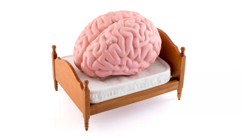 cerebro