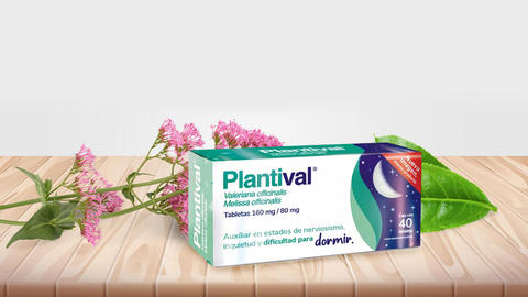 PS_Plantival
