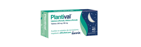 banner_Plantival