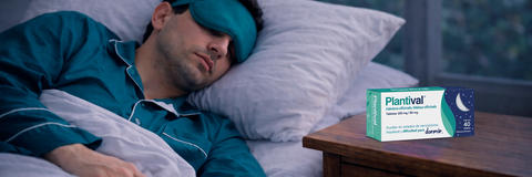 headerplantival_blog.