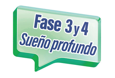 fase3_sueño